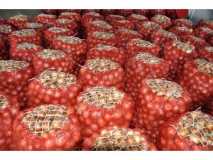 Soğan, üreticisinin "gözlerini yaşarttı"