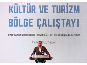 Kültür ve Turizm Bölge Çalıştayı