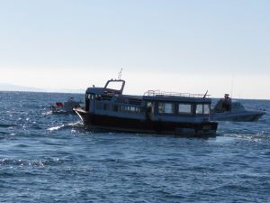 Çanakkale'de 362 yabancı uyruklu yakalandı