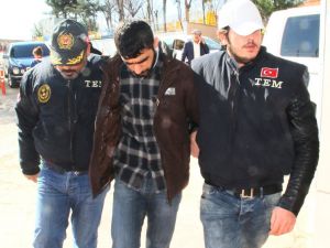 Şanlıurfa'da terör operasyonu