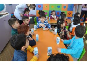 Öğrencilere okul sütü dağıtıldı