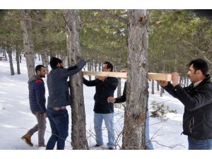 Suşehri Belediyesi doğadaki kuşlar için yemlik yaptı