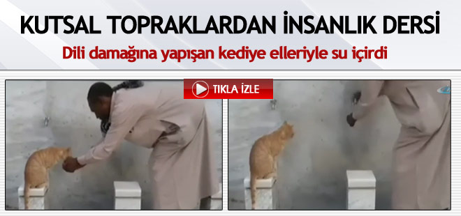 Kutsal topraklardan insanlık dersi