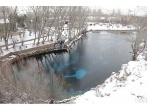 "Doğal akvaryum" balık adamların gözdesi oldu