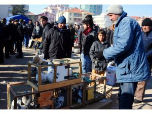 "Kuş muhabbeti" mesafe tanımıyor