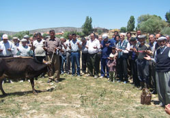Balık avı sezonu açılıyor