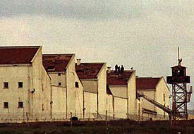 Asker'in yaptığını DİYANET yapsaydı