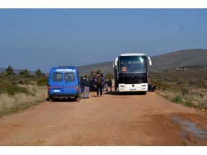 Sığınmacıları Midilli yerine Alibey Adası'na bıraktılar