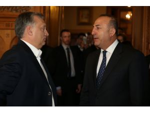 Dışişleri Bakanı Çavuşoğlu Macaristan'da