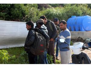 Ege Denizi'nden yasa dışı geçişler