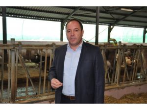 Vadeli çekler süt üreticilerini sıkıntıya soktu