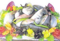 Şimdi de BALIKLARA el attılar