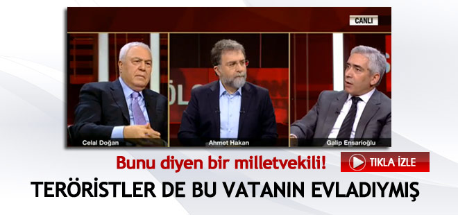 Canlı yayında teröristlere 'vatan evladı' dedi