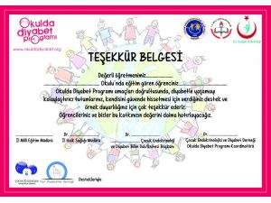 Öğretmenlerin diyabet tedavisindeki rolü artıyor