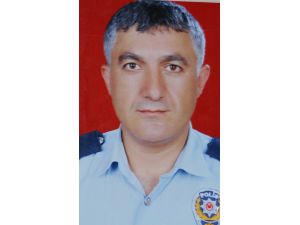 Yaralı orman memuru da hayatını kaybetti