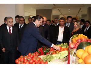 Gıda, Tarım ve Hayvancılık Bakanı Çelik: