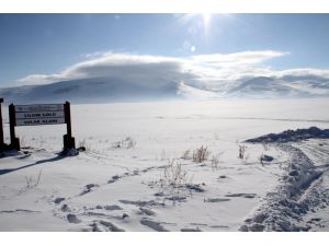 Kuzeydoğu Anadolu'nun iklim tarihi