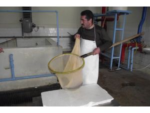 Doğuda balıkçılığa dev destek