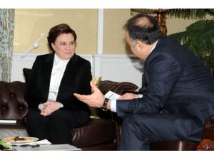 Çevre ve Şehircilik Bakanı Sarı: