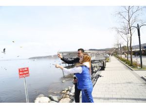 Sakarya'da sıcak hava