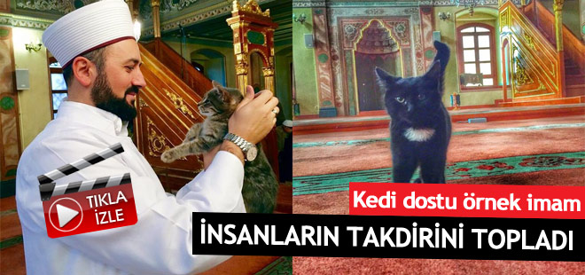 Kedi dostu imam insanların takdirini topladı