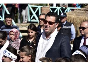 Bodrum'da denizin dibi temizlendi