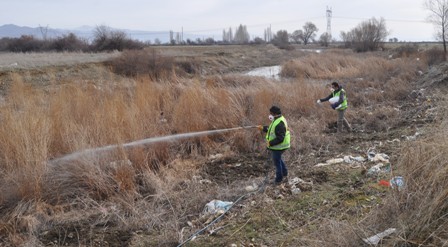 Seydişehir'de haşereye karşı ilaçlama çalışmaları başladı