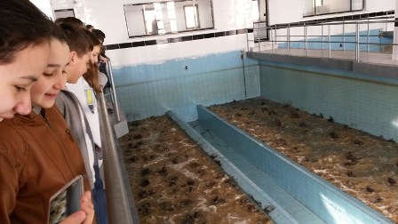 Öğrenciler Atık Suları Yerinde İnceledi