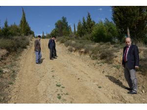 - Gelibolu Yarımadası'nda yağmur şehit kemiklerini ortaya çıkardı