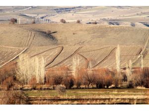 Cumhurbaşkanı Erdoğan sevgisini tarlasına yansıttı