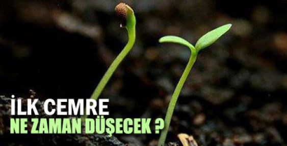 Cemre düşmesi nedir? İlk cemre ne zaman düşer?