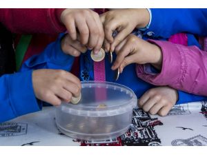 Minik öğrencilerin "çikolata parası" Suriyeli kardeşlerine