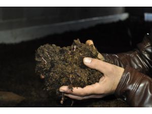 "Pis işlerle uğraşma" diyenleri dinlemedi, 10 ayda 10 kat büyüdü