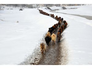Doğu'nun kar çilesi sürüyor