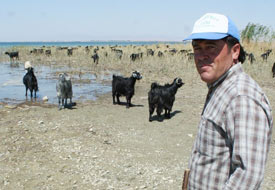 Beyşehirli çobanların korkusu