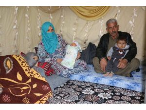 Suriyeli bebek "24 parmaklı" doğdu