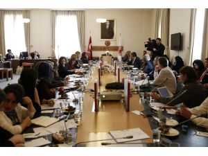 Aile Bütünlüğünün Korunmasını Araştırma Komisyonu