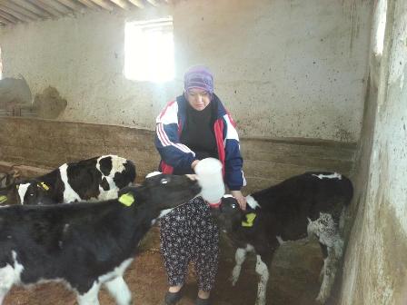 Hülya Gök’ü hiç böyle görmediniz