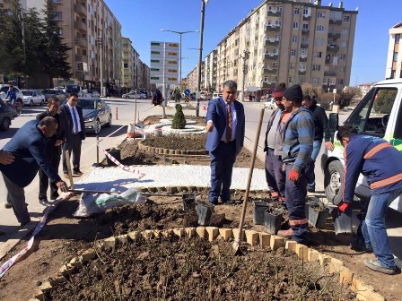 Ereğli estetik görünüme kavuşuyor