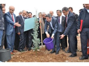 TBMM Başkanvekili Aydın: