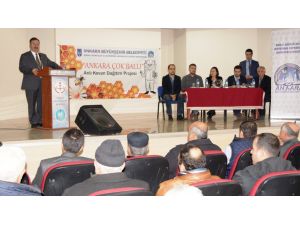 Çubuk’ta arılı kovanlar için kura çekildi