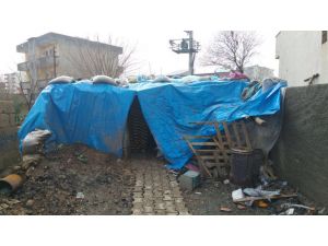 İdil'deki terör operasyonu