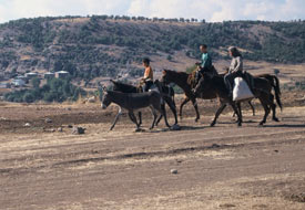 Çarıklı Mehmet'in hikayesi
