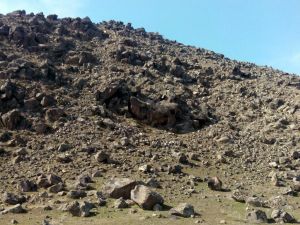 Iğdır'da terör örgütü operasyonu