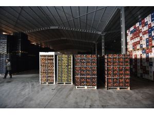 Mersin'den güvenlik güçlerine 120 ton narenciye gönderildi