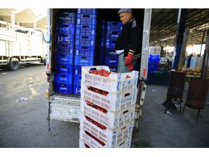 Toptan yaş meyve sebze fiyatları