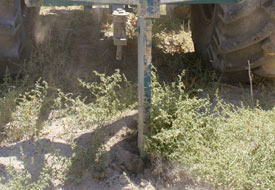 Tahıl ekiminde kurallar uyarısı