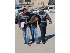 Elazığ'da telefonda dolandırıcılık iddiası