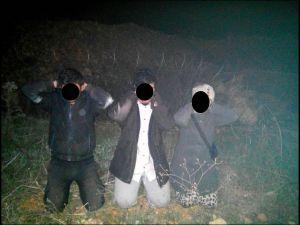 Terör örgütüne yönelik operasyonlar