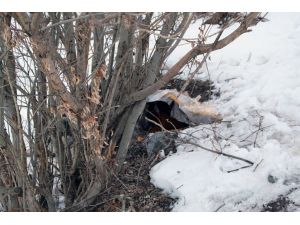 Kars'ta terör operasyonu